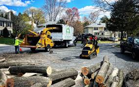 Best Lawn Maintenance Plans  in Coldstream, KY
